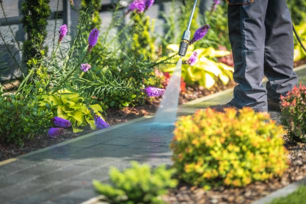 Professional Pressure Washing Services in Port Morris, NJ