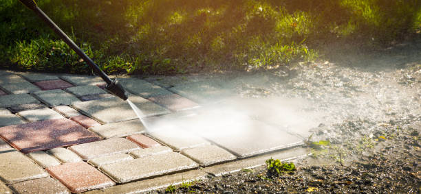 Best Roof Washing  in Port Morris, NJ